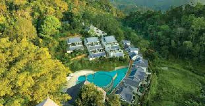 Scenic Munnar
